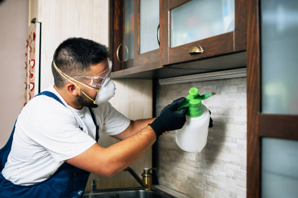 Best Wasp Removal Services  in Wayland, IA